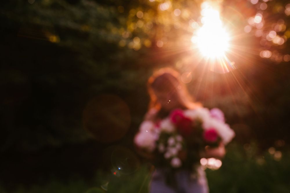 Vibrant pink and white flowers in front of sunlit trees during golden hour sunset creating a dreamy garden scene.