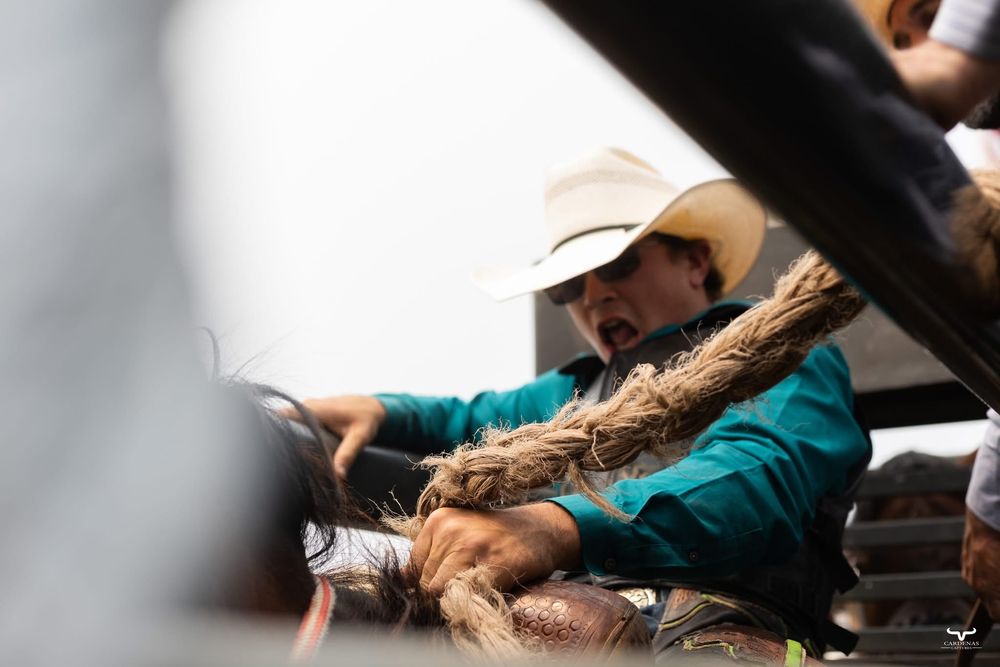 Close-up shot of someone working with ropes at a rodeo event. Pro Rodeo PRCA Rodeo Photographer Dakota Cardenas