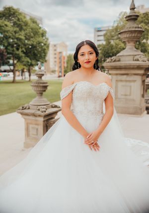 Michigan photographer