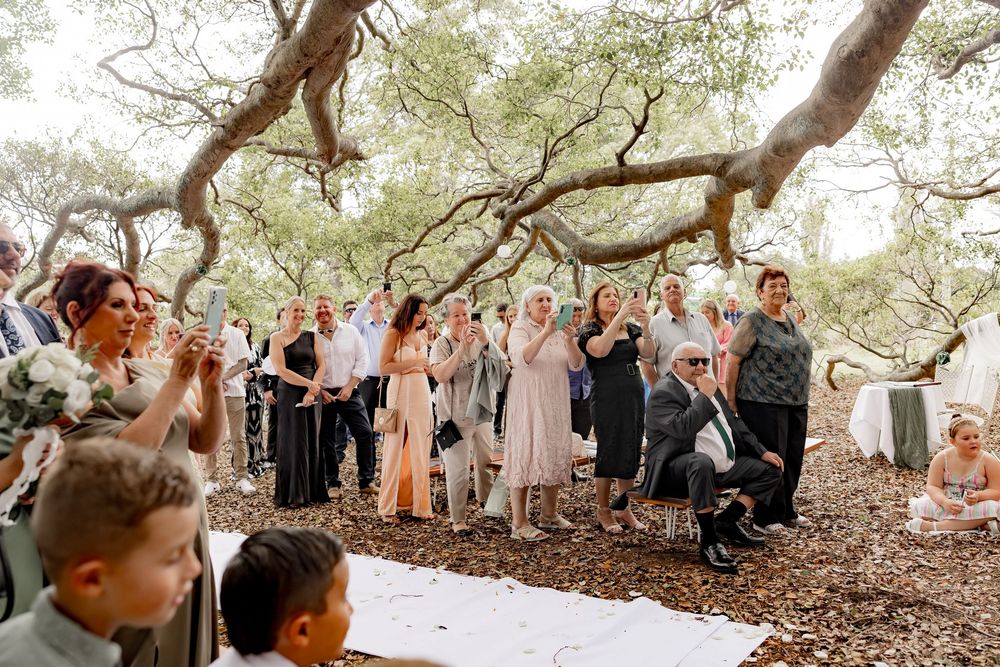 Wedding guests gather under sprawling tree branches at an outdoor ceremony in natural woodland setting.