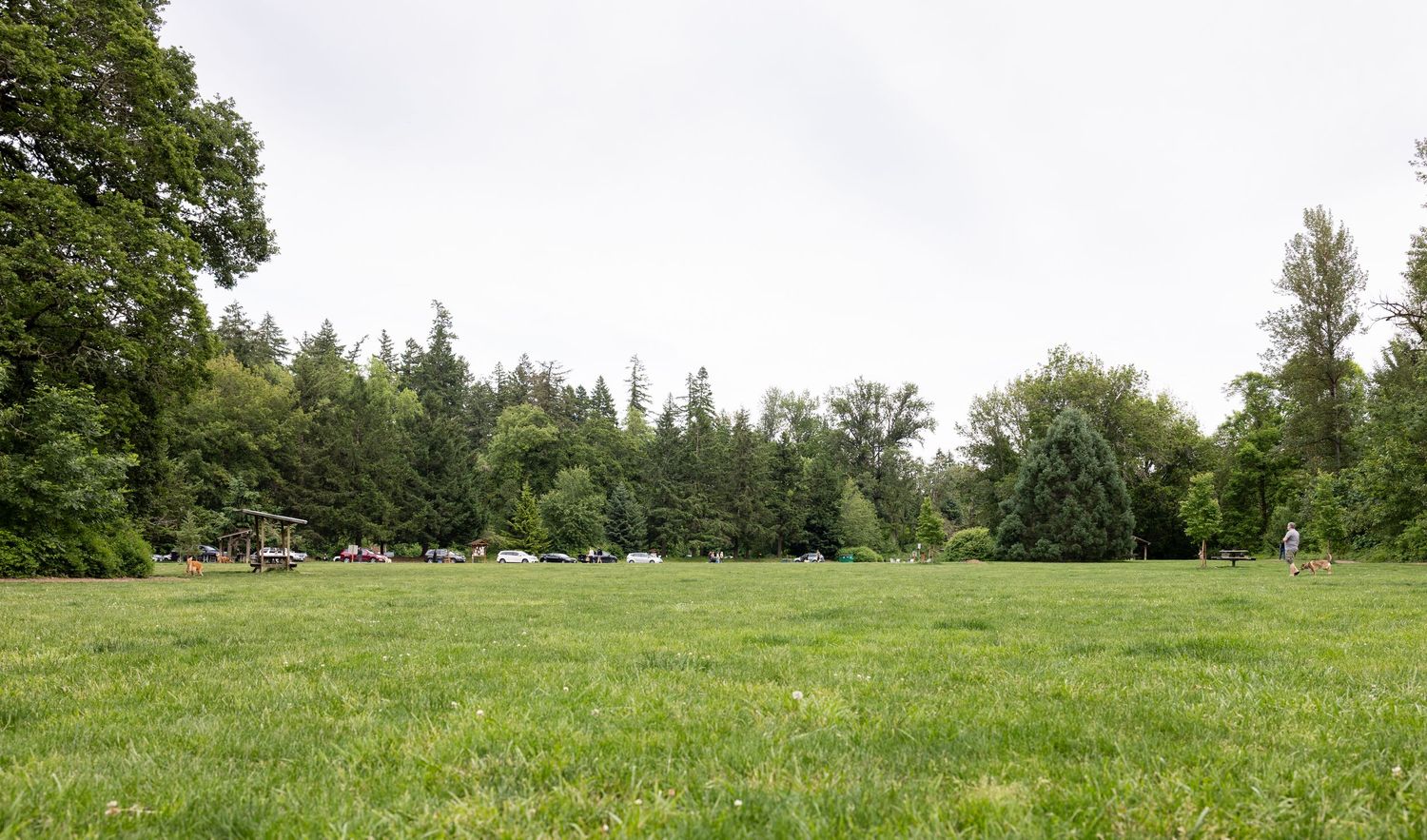 Mary S. Young dog park, off-leash area for dogs in West Linn, Oregon.