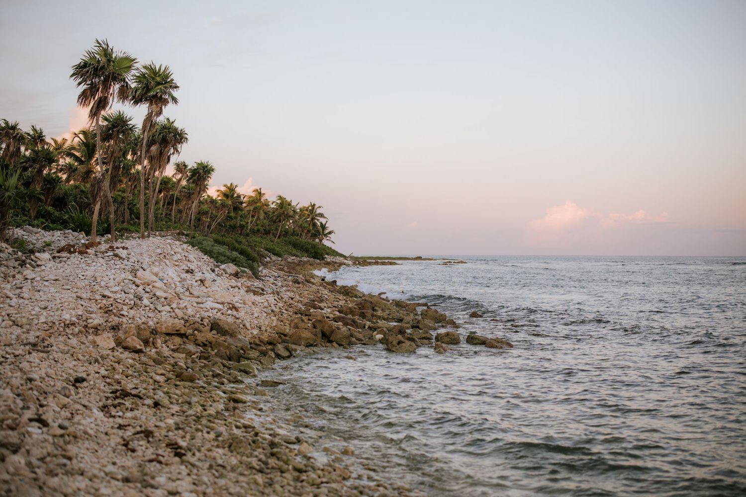 A dreamy beachside  with soft pastel skies and palmtrees in Tulum