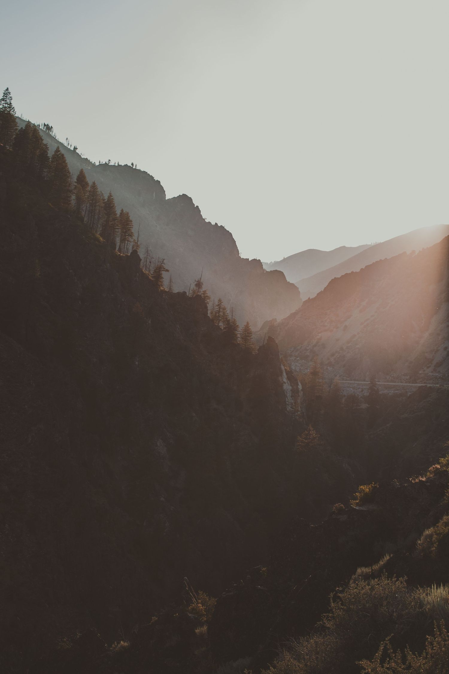 Sunlight streams through a misty mountain valley in Idaho with forested slopes and dramatic shadows.