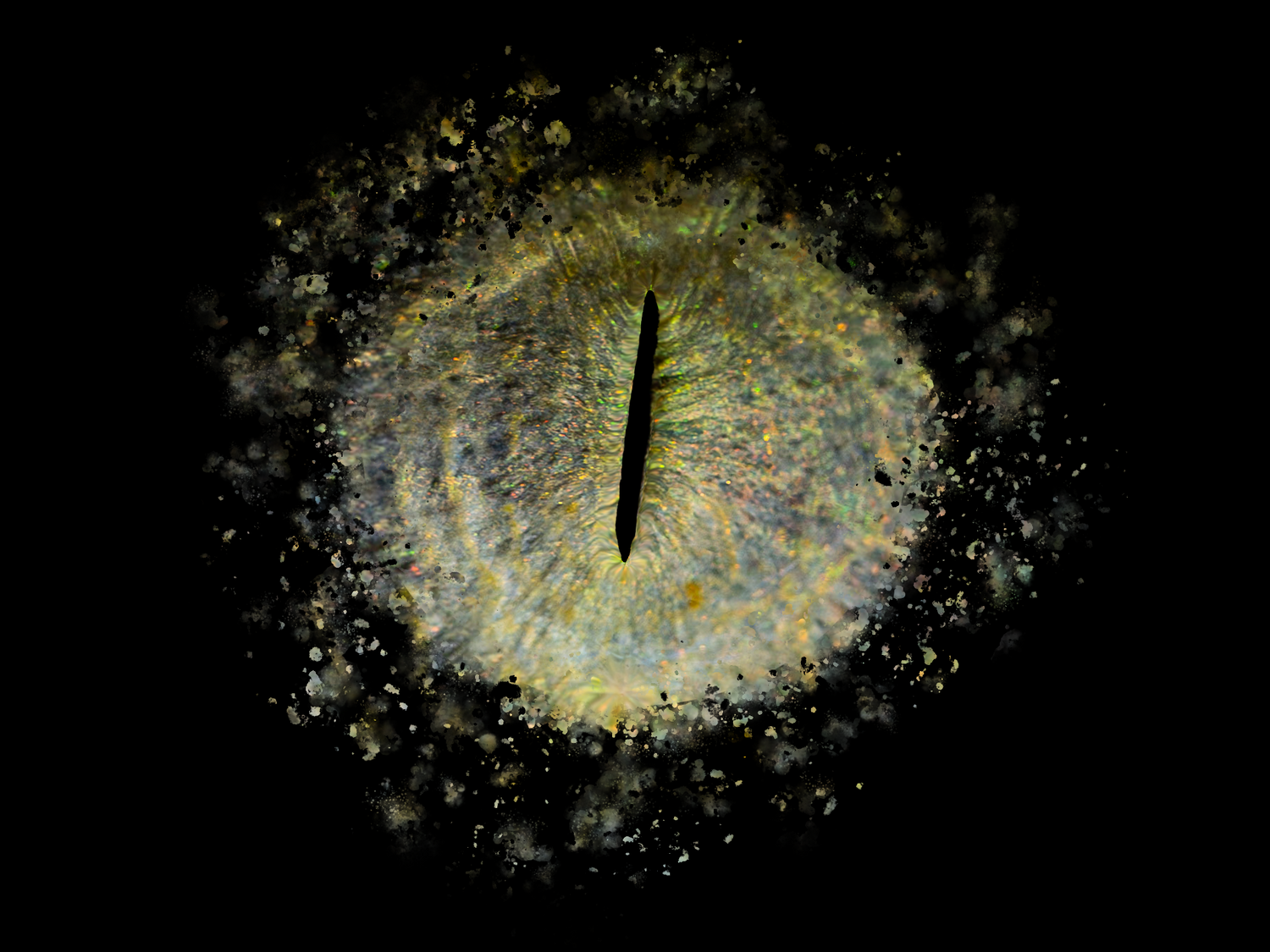 oeil portrait photo
