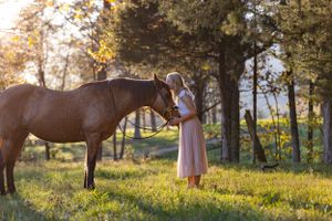 Horse and companion sharing a peaceful moment in sunlit meadow at golden hour.