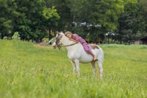 A white pony stands in a sun-dappled meadow with its young rider.