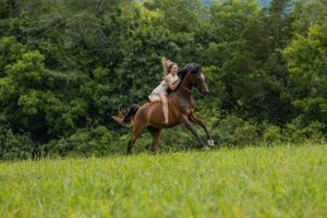 A horse and rider gallop freely through a lush green meadow on a summer day.