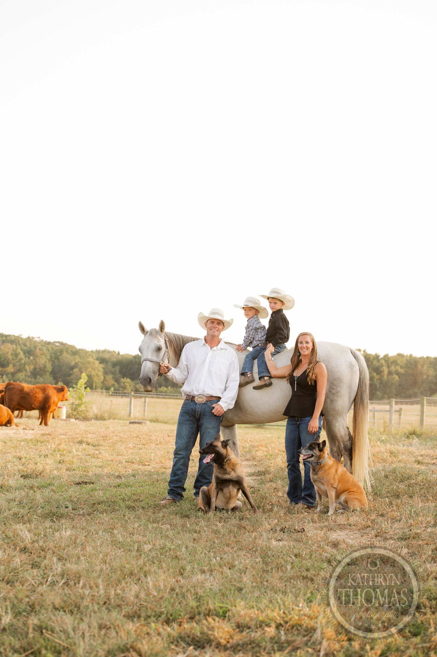 A rustic family photo with horses, dogs and cattle on a sunny ranch.
