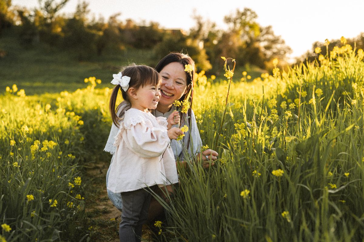 People embrace in a golden sunlit meadow filled with blooming yellow daffodils during sunset.