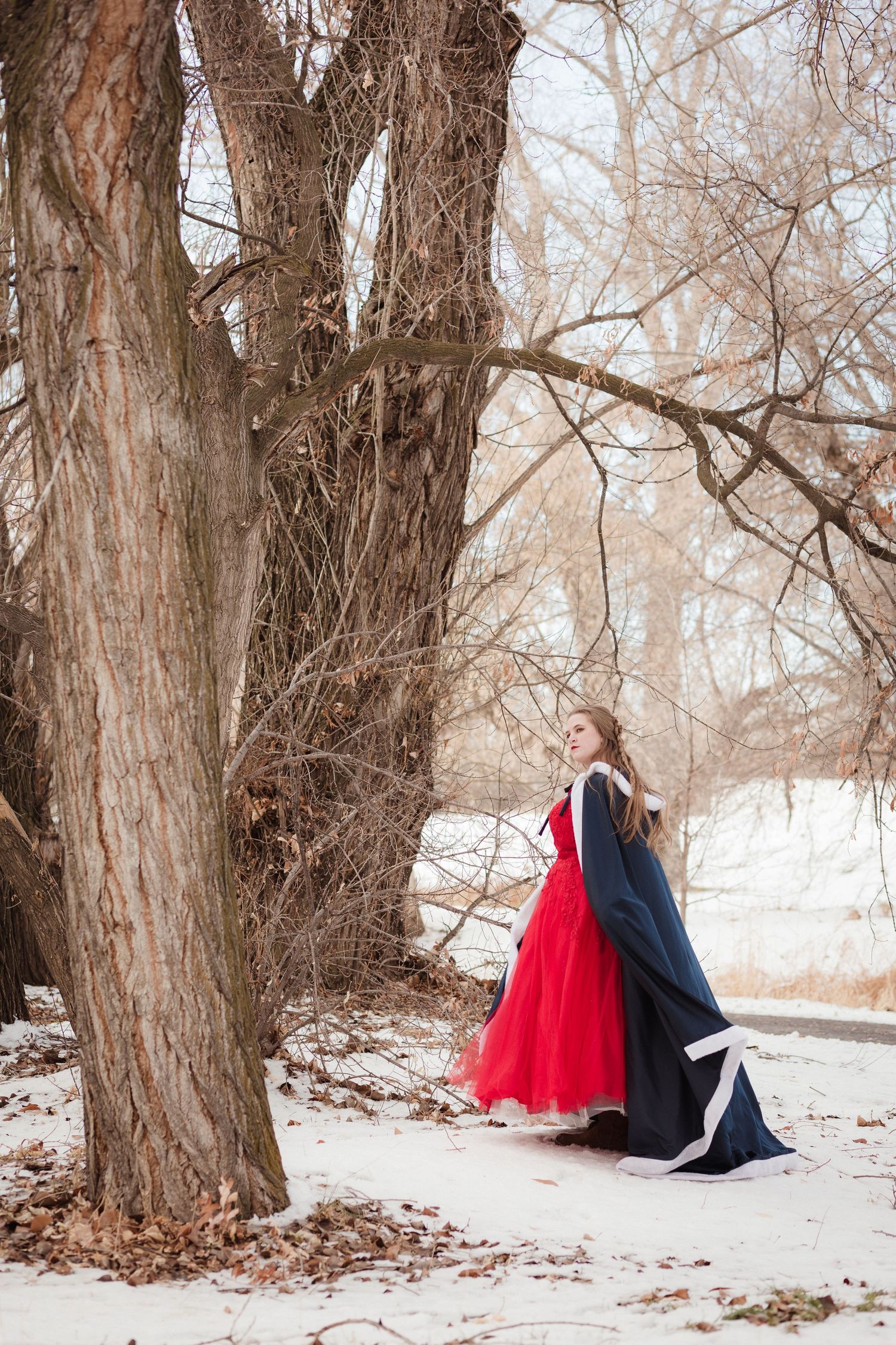Spanish Fork river trail Utah winter red dress senior pictures