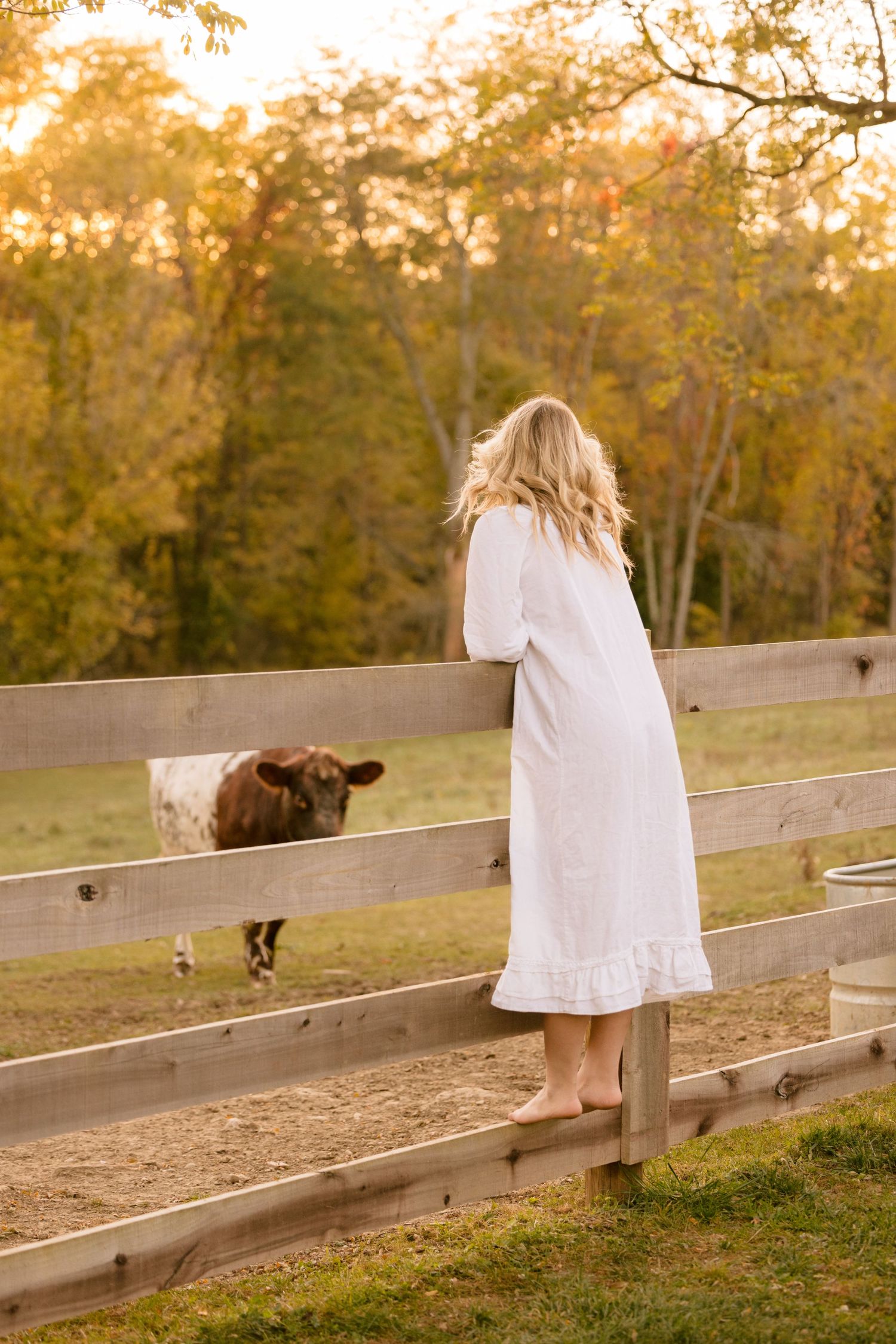 A person in a white dress stands on a wooden fence at sunset looking at a cow in a pastoral farm setting.