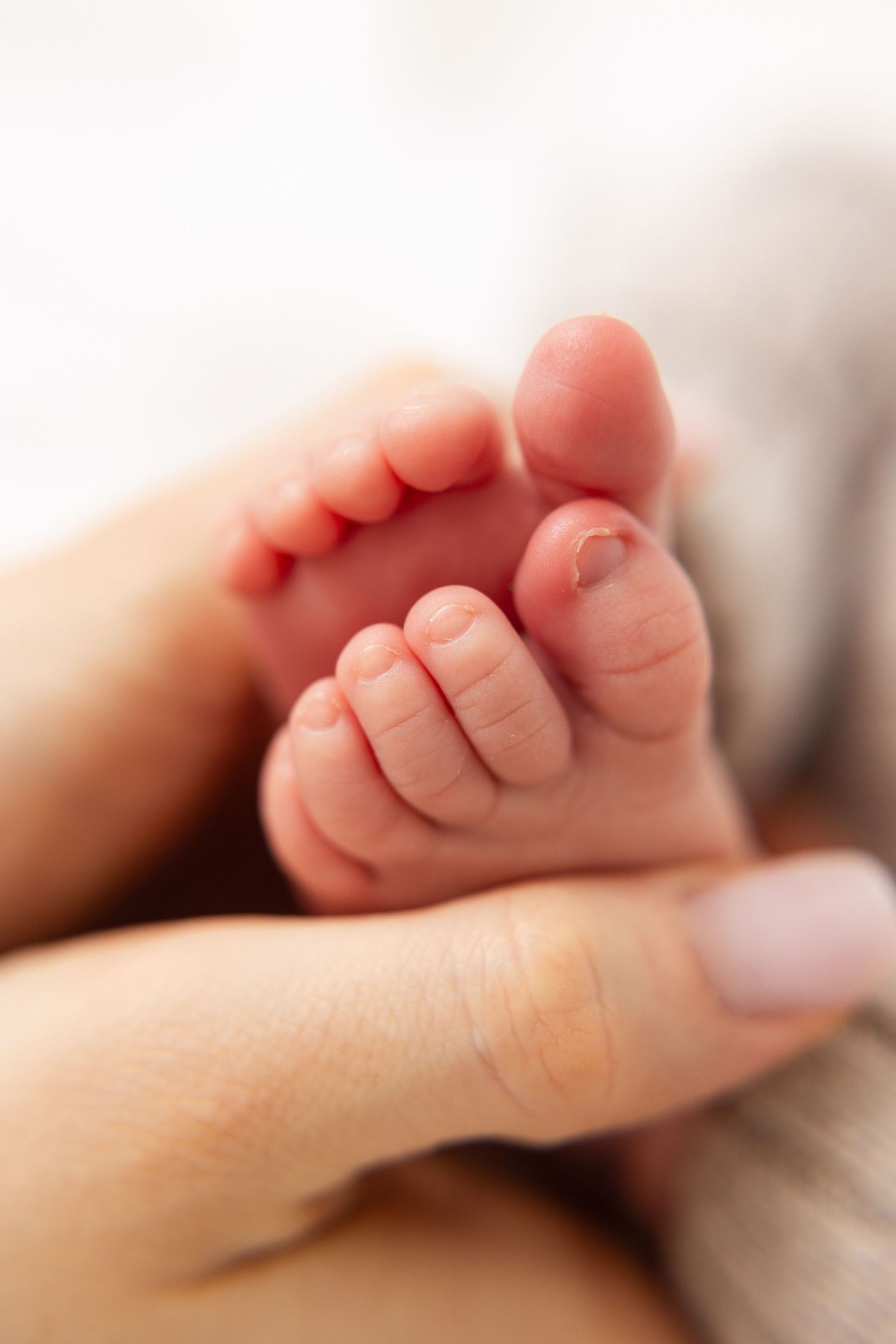 Close-up of a parent gently holding tiny newborn baby feet in their hand.