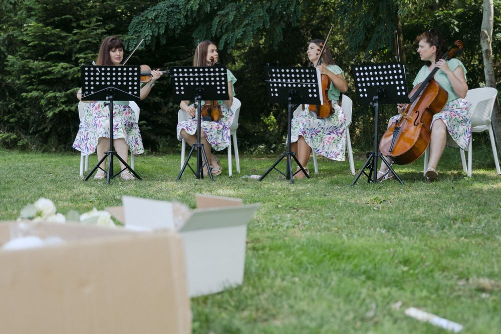 String quartet musicians perform outdoors on white garden chairs with music stands during an outdoor event.