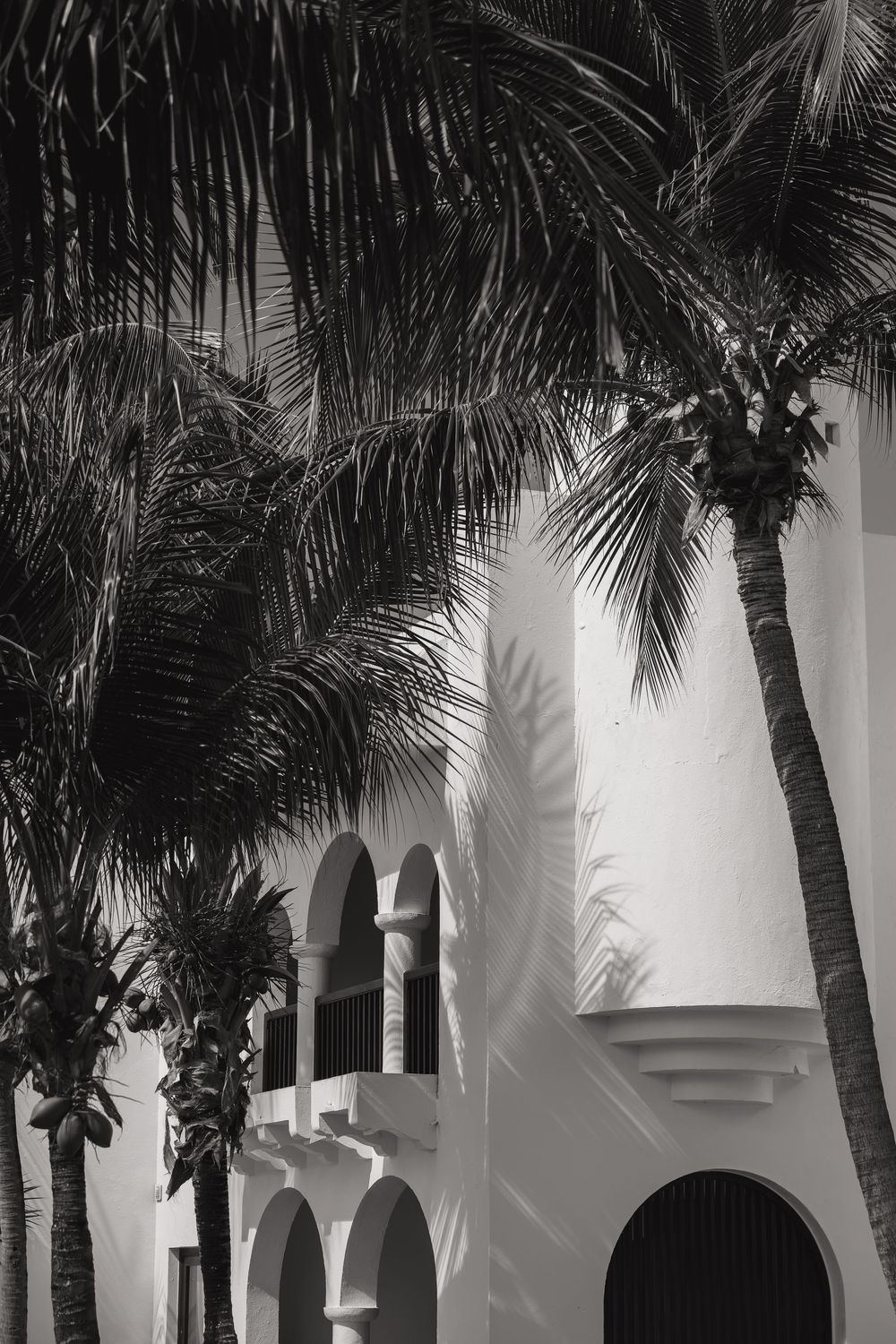 White arched hallway with palm trees creating dramatic shadows against a bright exterior wall.