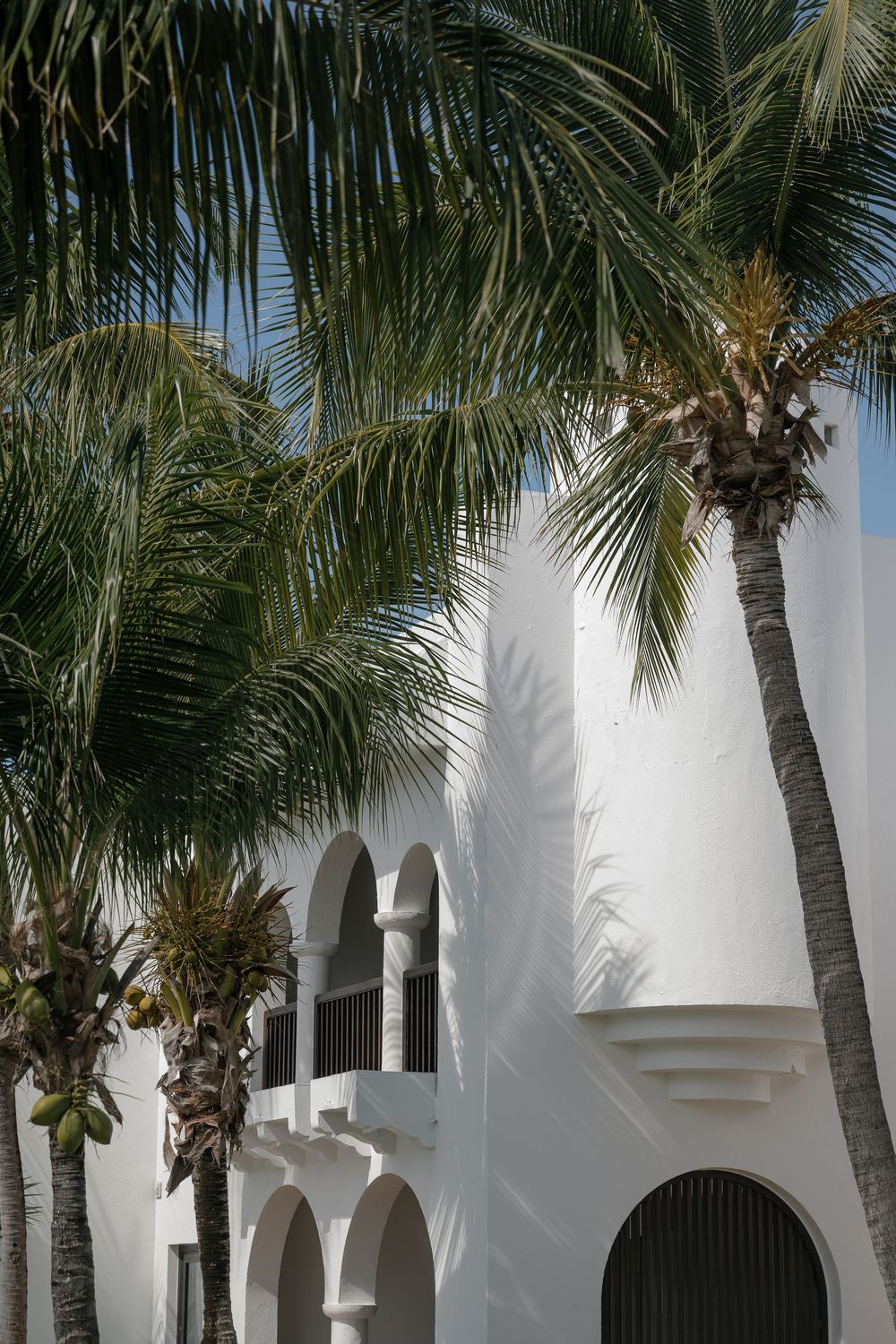 White Mediterranean-style building exterior with arched windows and palm trees lining the walkway.
