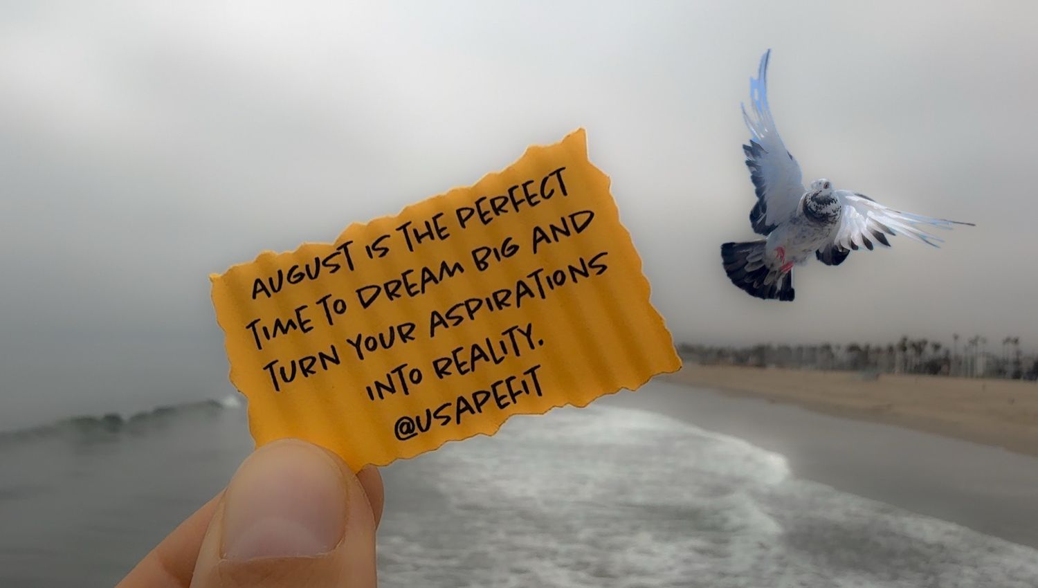 Hand holding orange note with inspirational text against cloudy sky with flying pigeon in background.