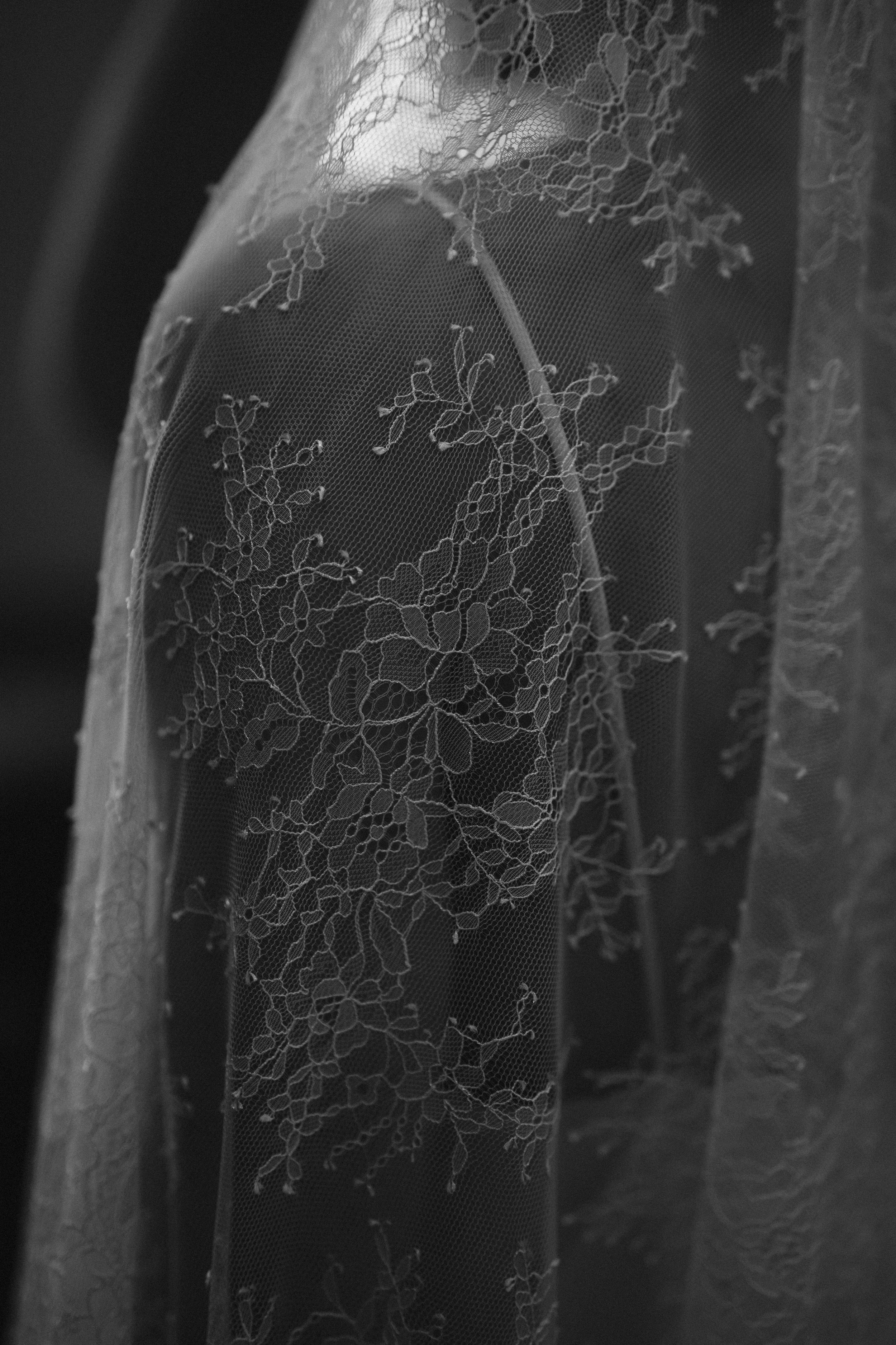 A series of black and white photos showing intricate spider web patterns against a dark forest background.