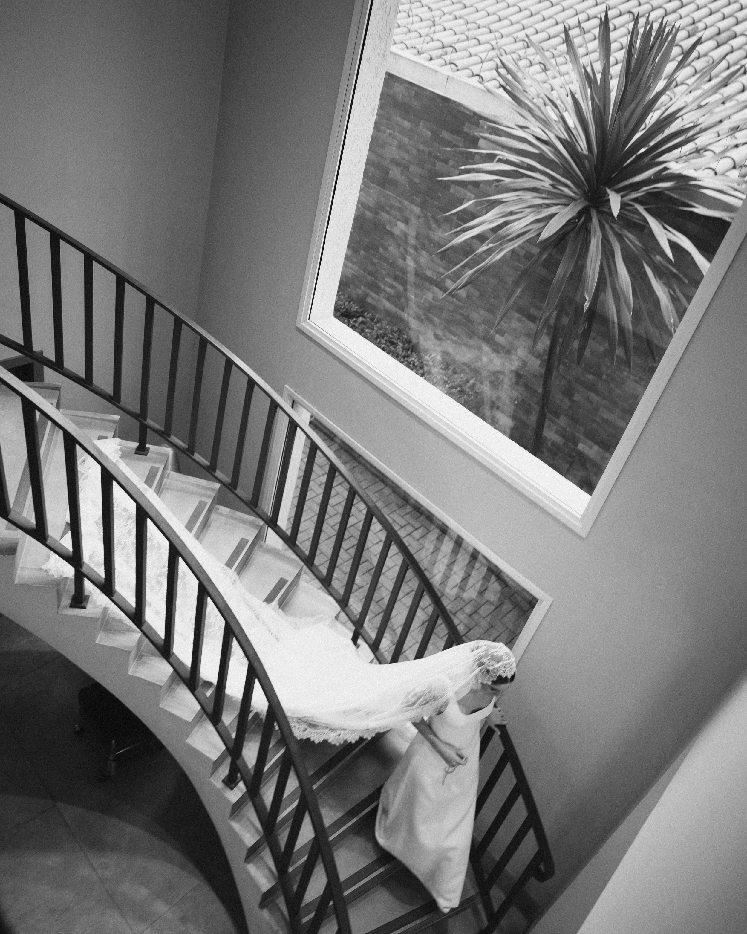 A white cockatoo bird moves up a curved interior staircase, captured in four sequential black and white photographs.
