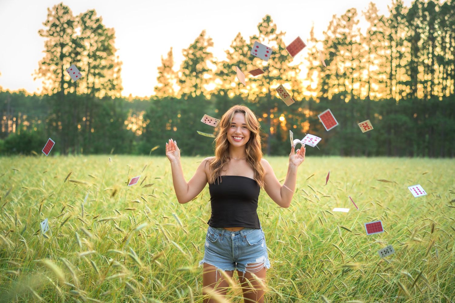 Sun shines through tall pine trees as someone stands in a golden field while playing cards float in the air.