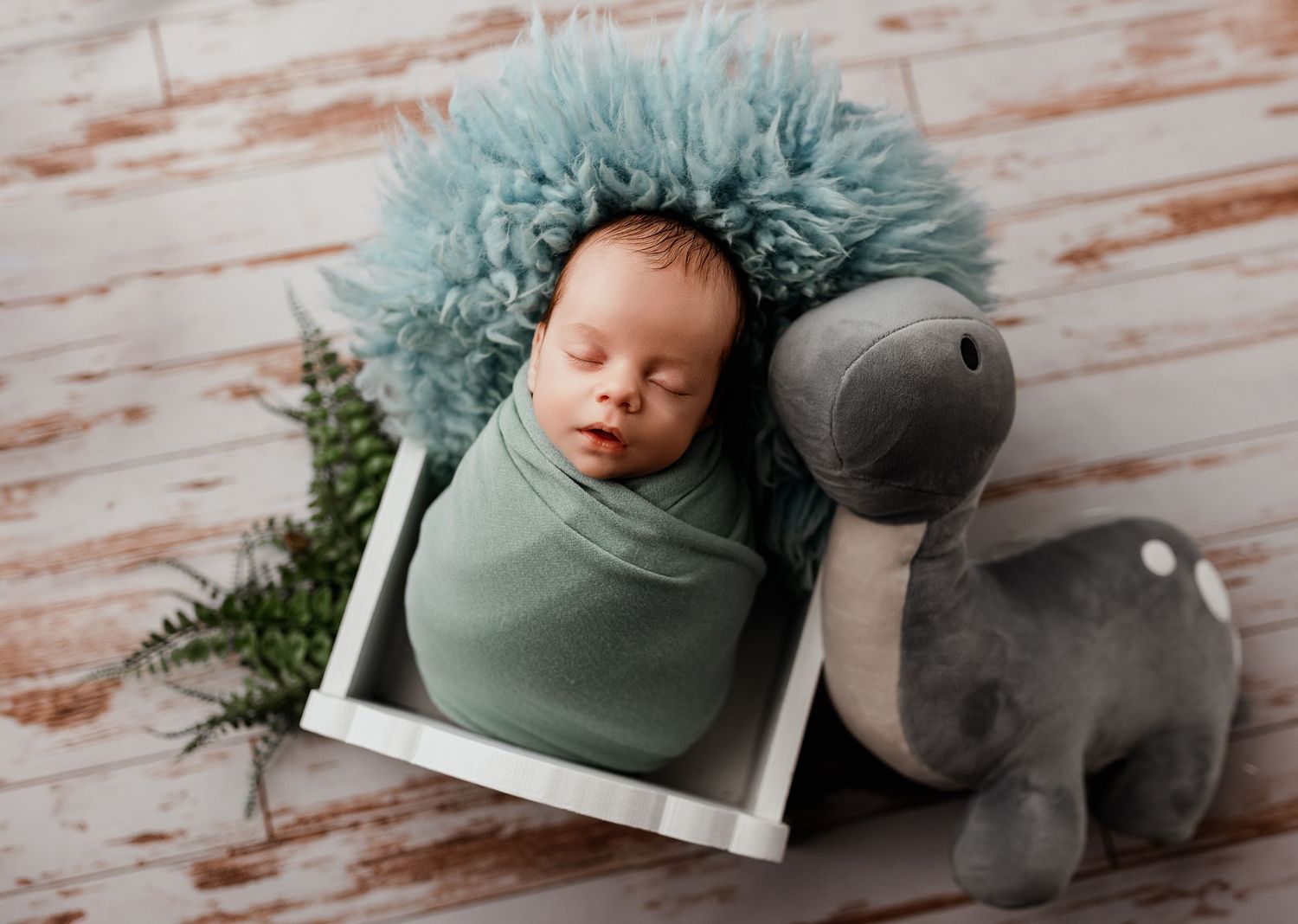 South Shore Kentucky Photographer | Newborn Photography | Baby Photos