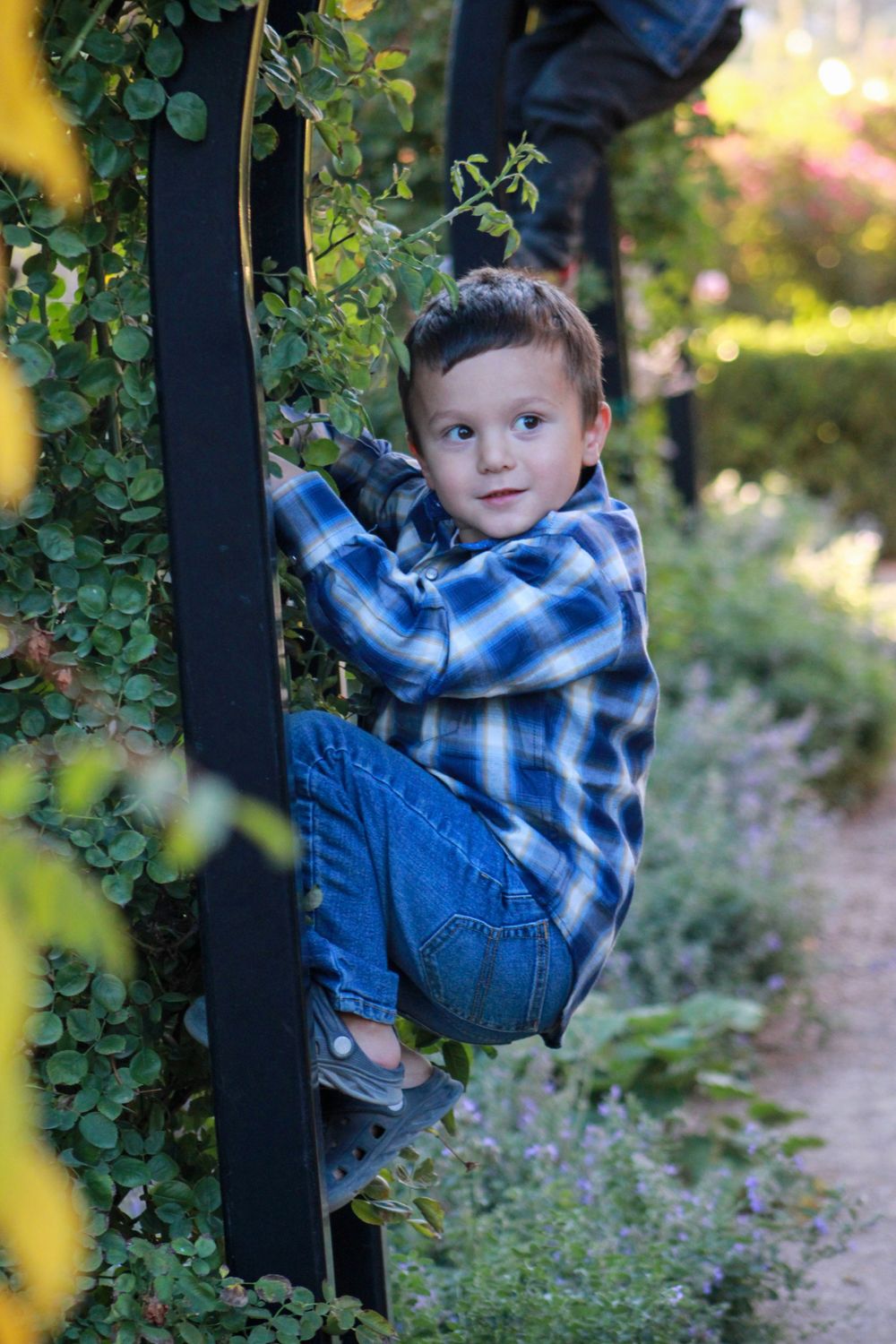 Child in blue plaid shirt hanging from garden arch with greenery in background.