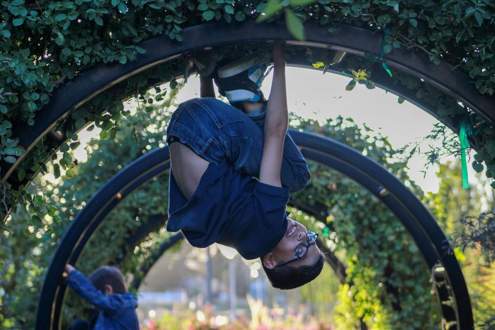 Young person hanging upside down from a curved metal garden arch in an outdoor setting.