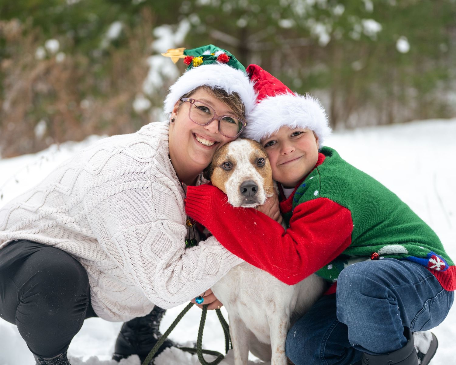 Woman and boy in Christmas hats hug a beagle dog in snowy winter outdoor holiday photo. These were for their Christmas Card portrait photos.