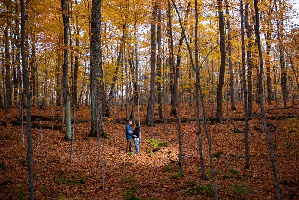 Person standing alone among tall trees in a vibrant autumn forest.