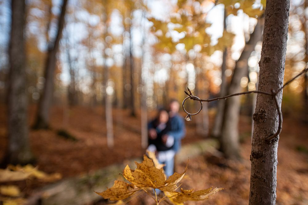 Close-up of autumn leaves on a branch with a couple blurred in background.