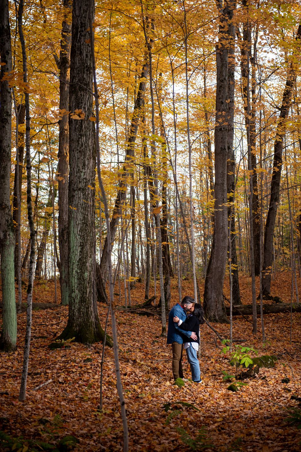 Couple hugging among tall trees in a sunlit autumn forest.