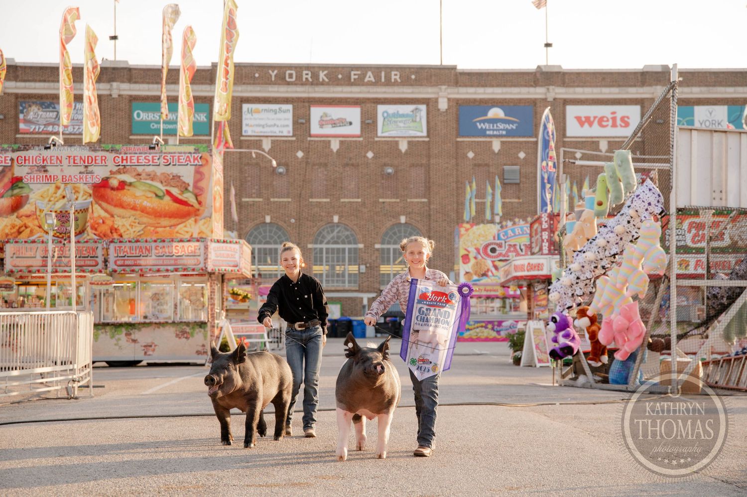 Two handlers lead miniature pigs at York Fair with colorful carnival games and Weis Markets building in background.