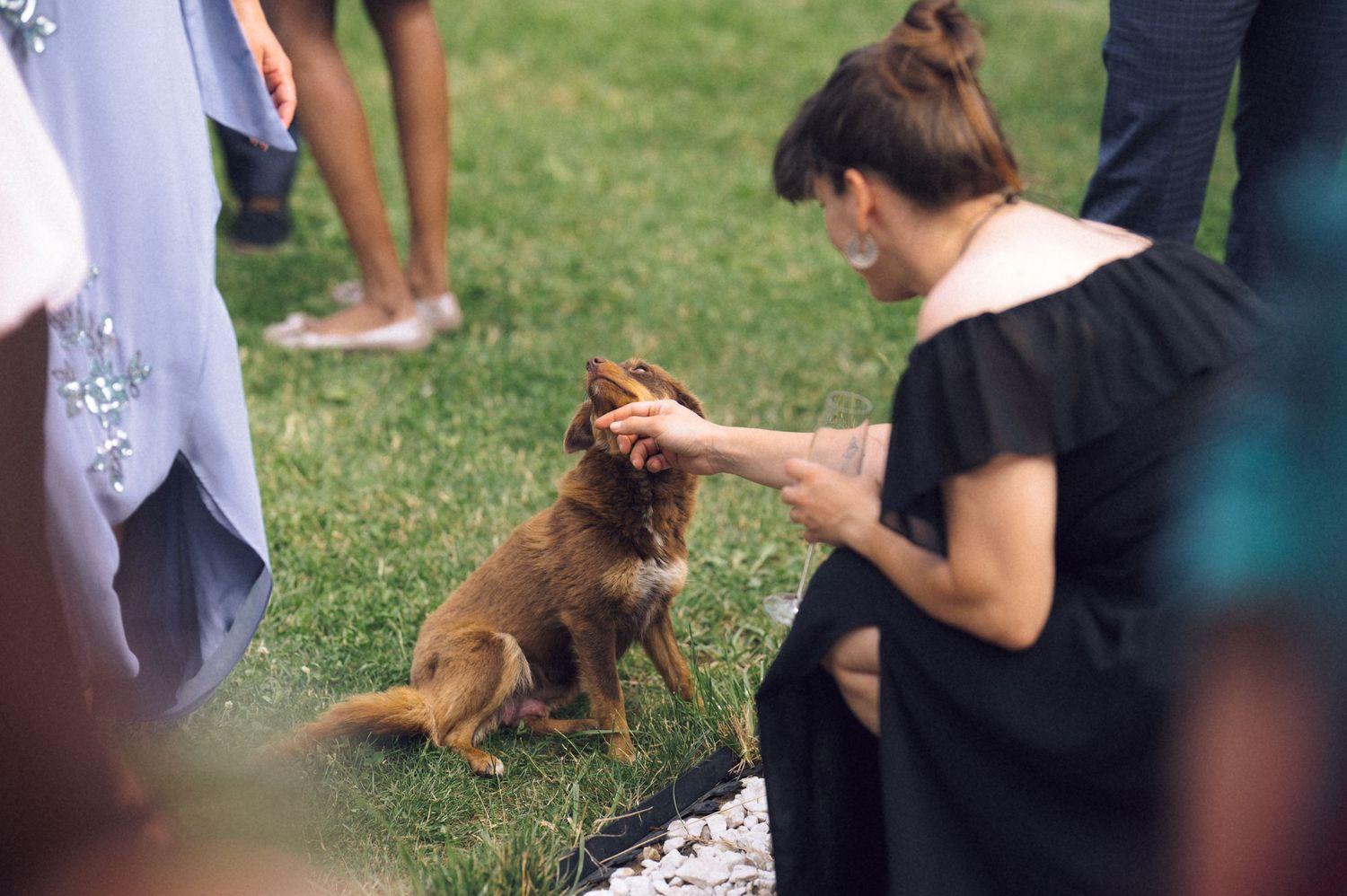 A woman in a black dress crouches on grass to pet a small brown dog at an outdoor gathering.