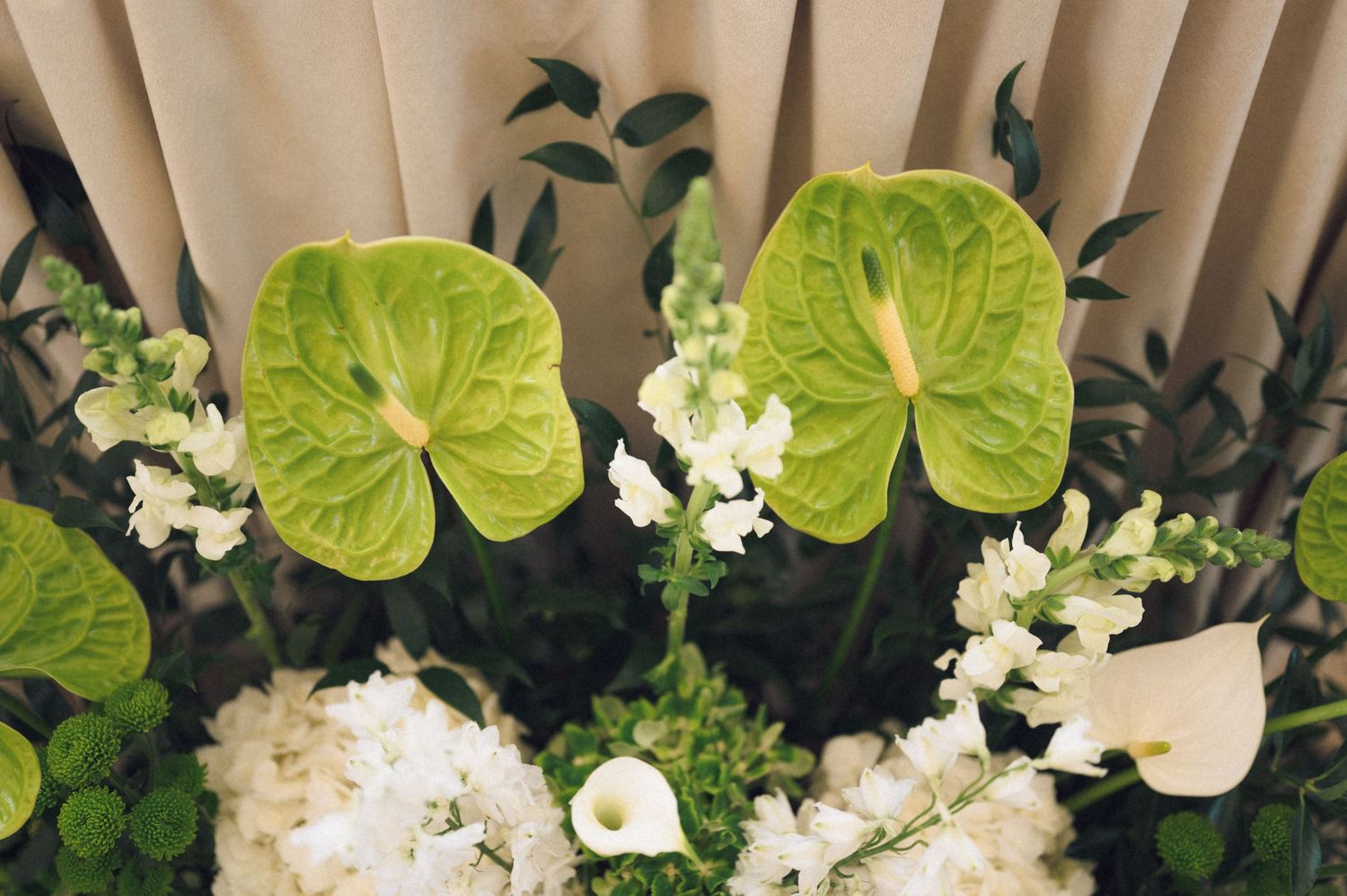 Green anthurium flowers and white snapdragons arranged in an elegant floral display with calla lilies and lush greenery.