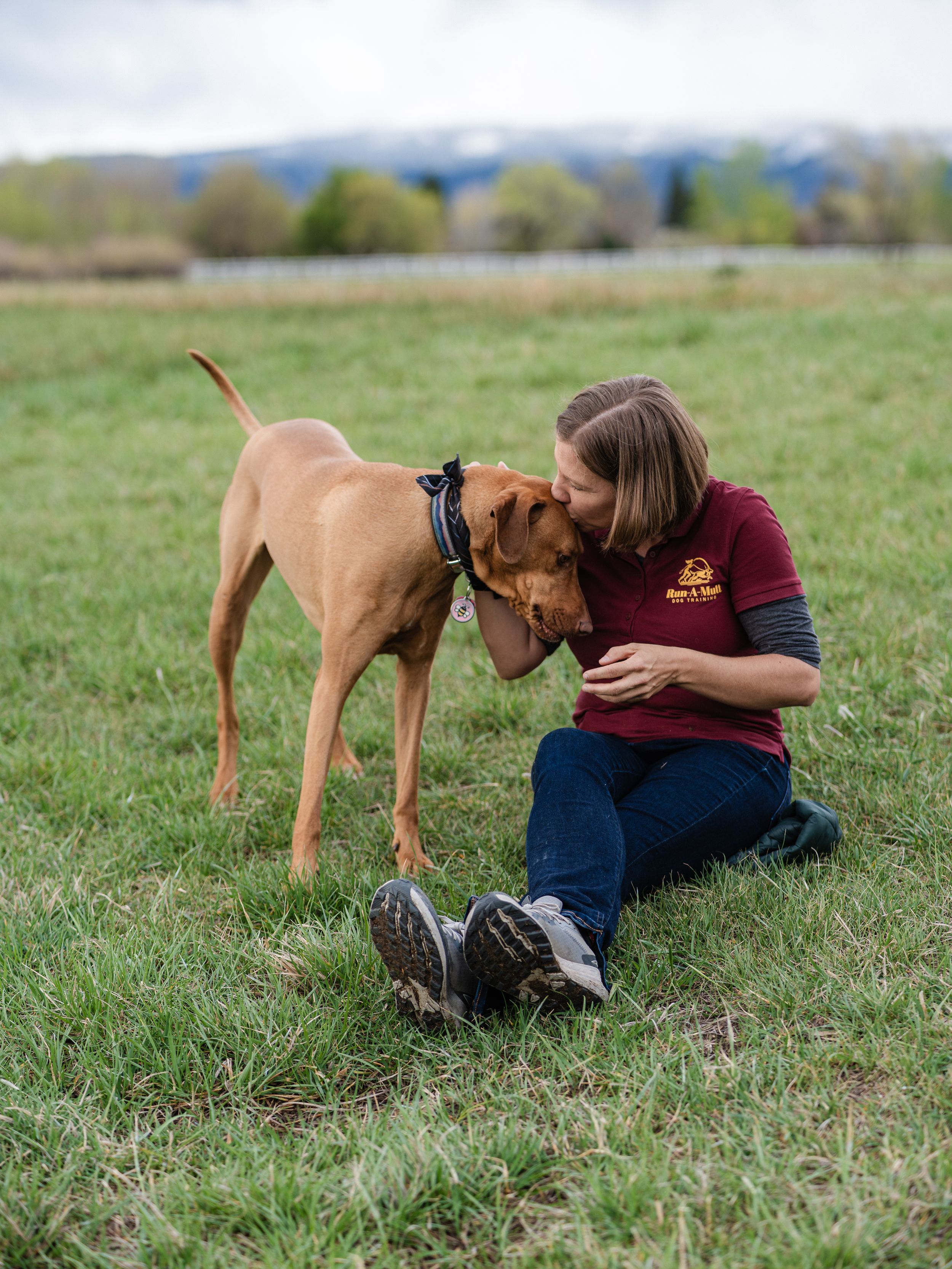 A woman in a maroon shirt sits on green grass while a brown Vizsla dog affectionately nuzzles her face outdoors.
