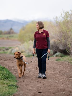 Woman in maroon polo walks brown dog on dirt trail with mountains in background.