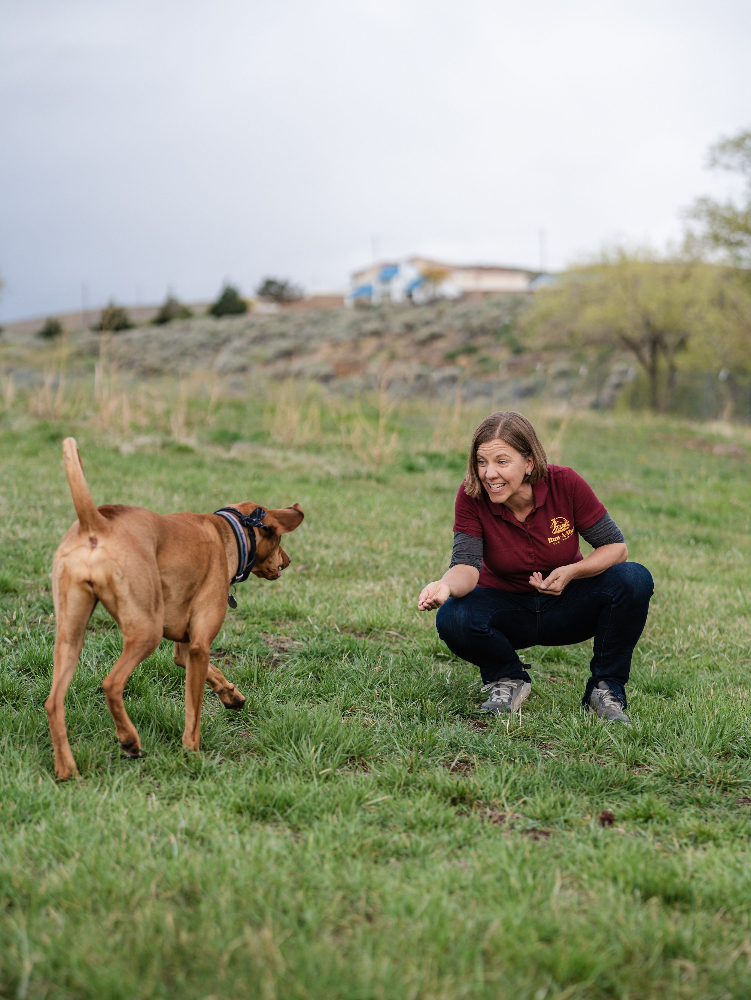 A smiling woman in a maroon shirt crouches on green grass, interacting with a brown dog outdoors.