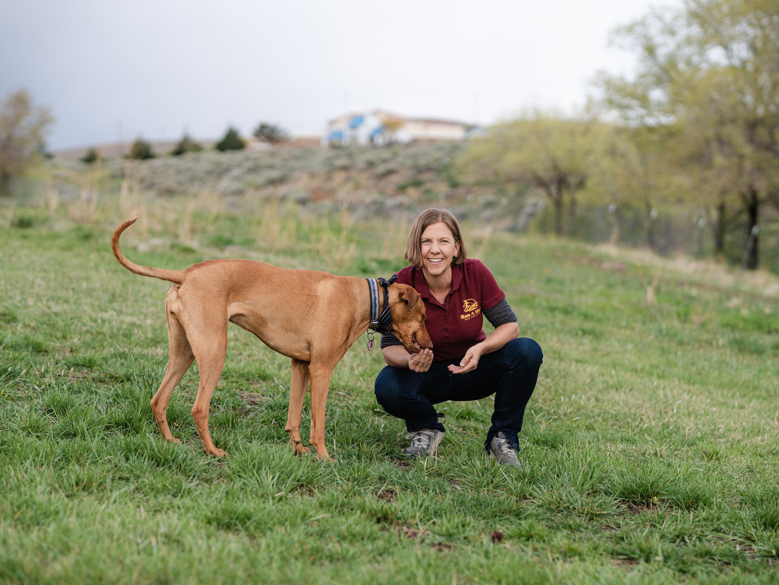 Woman in maroon shirt crouching beside a large brown dog on a green grassy field outdoors.