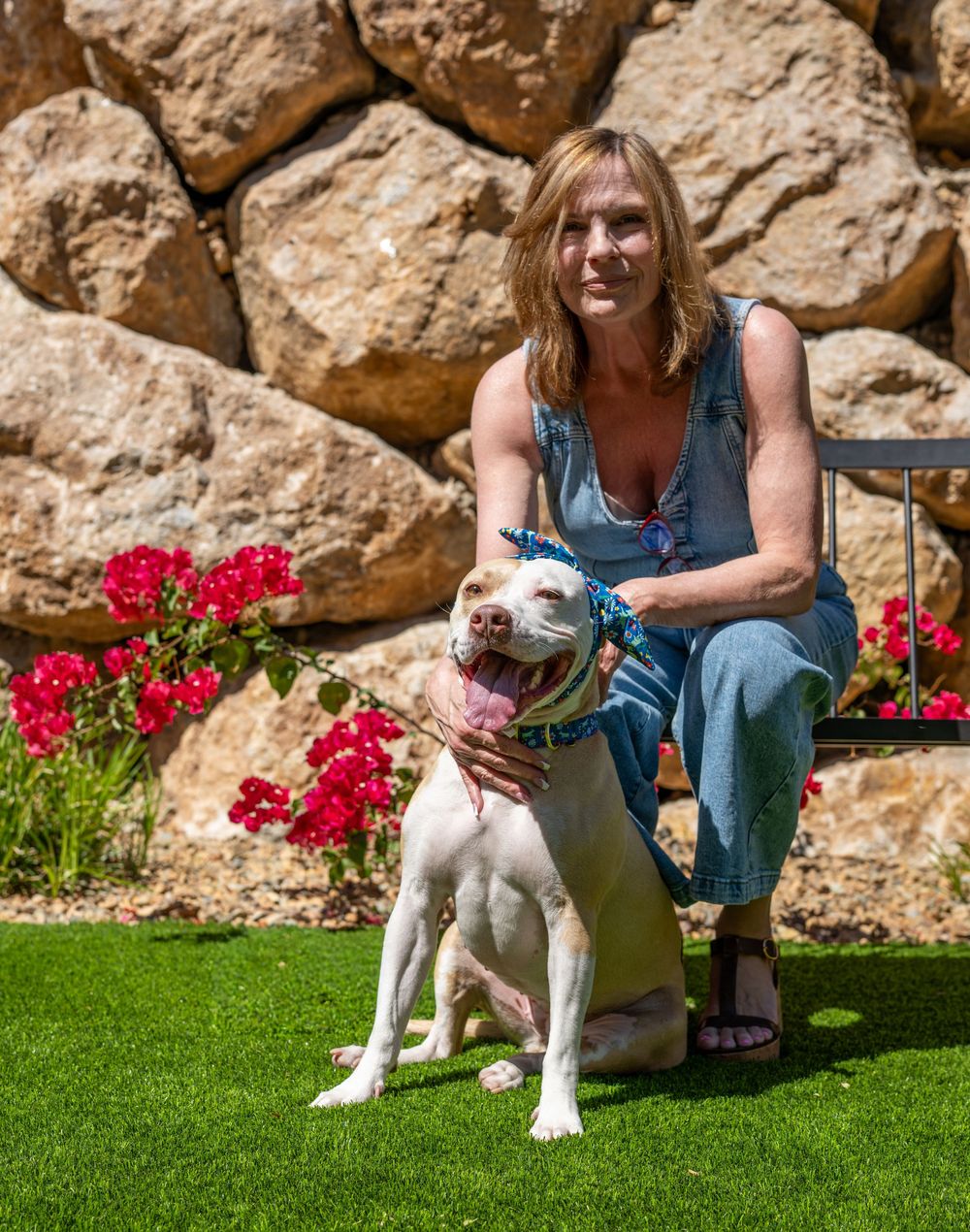 Woman in denim outfit kneels beside white pit bull dog on green grass with red flowers and rocks.