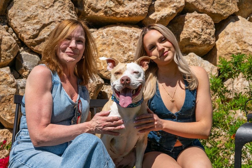 Two women smile with a white pit bull dog outdoors near a stone wall on a sunny day.