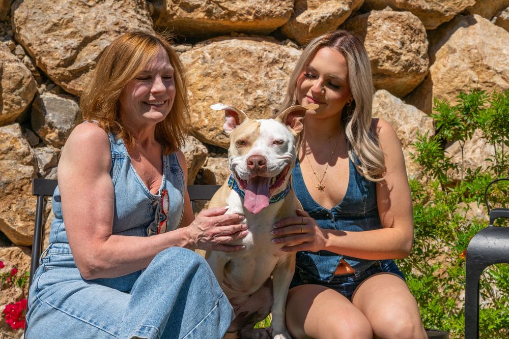 Two women sitting outdoors with a happy white pit bull dog against a stone wall backdrop.