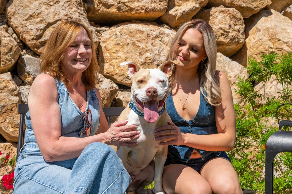 Two women sitting outdoors with a happy white pit bull dog in front of a stone wall on a sunny day.