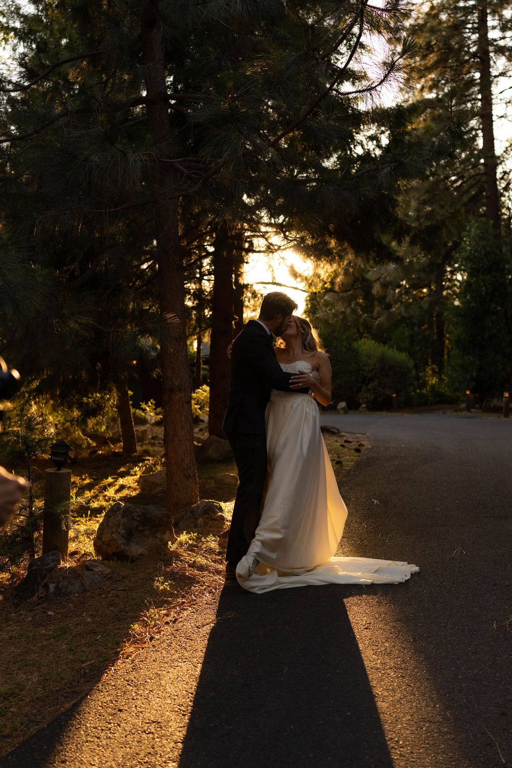 Bride and groom kiss silhouetted against golden sunset light among tall pine trees outdoors.