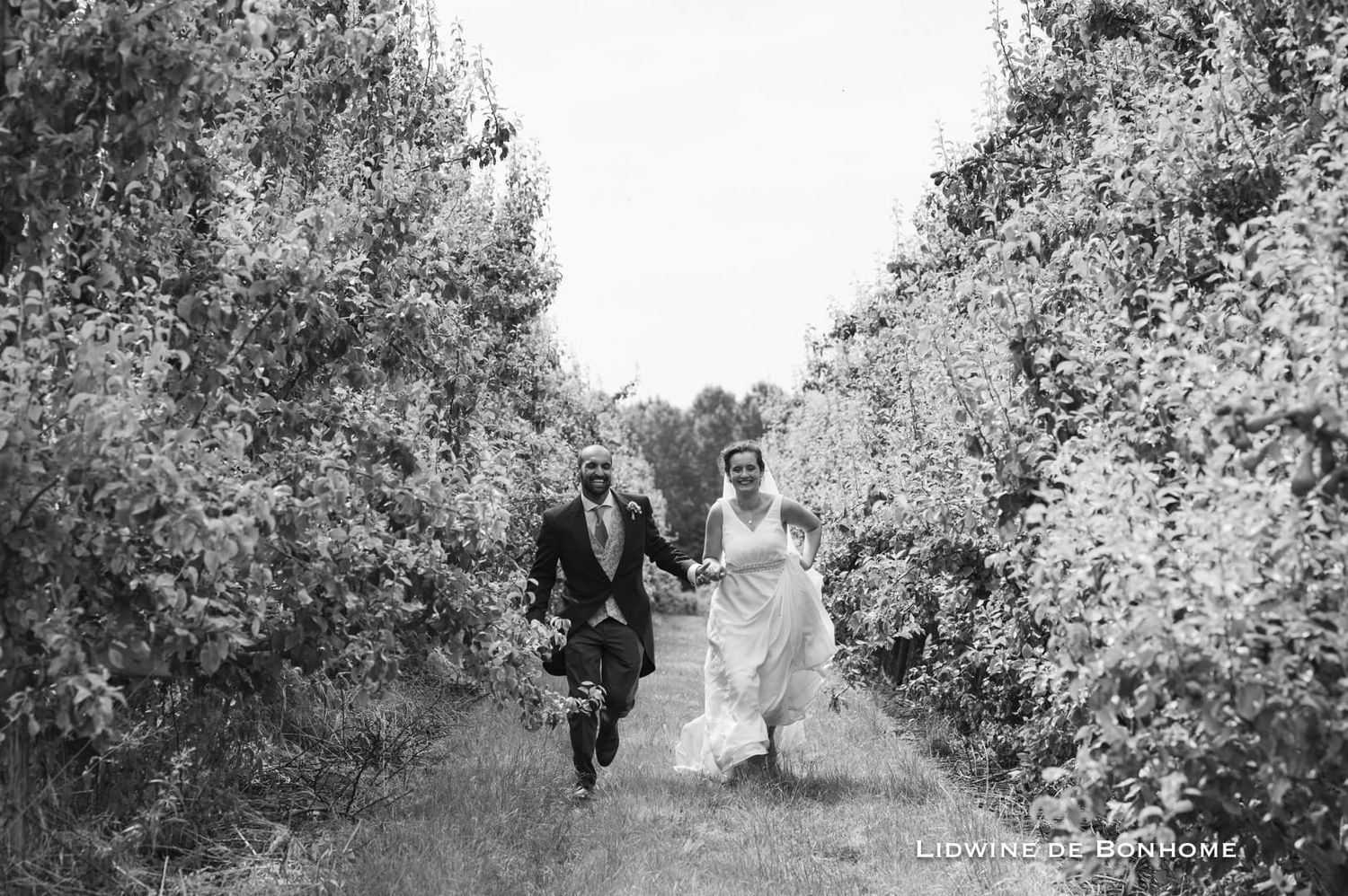Photo Mariage