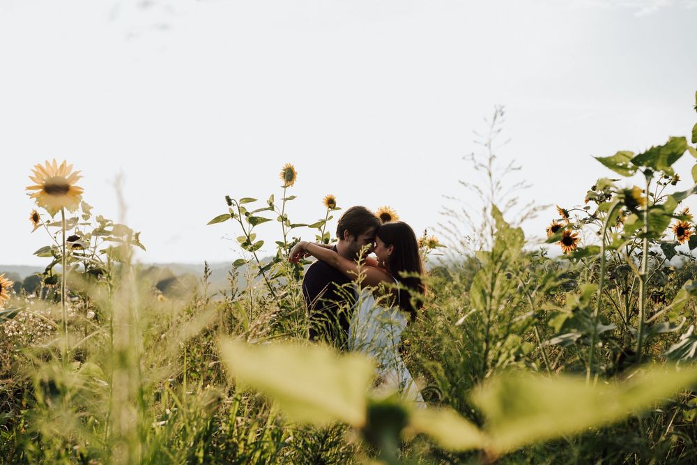 Couple sharing a romantic kiss surrounded by blooming sunflowers in a lush green field on a soft overcast day.