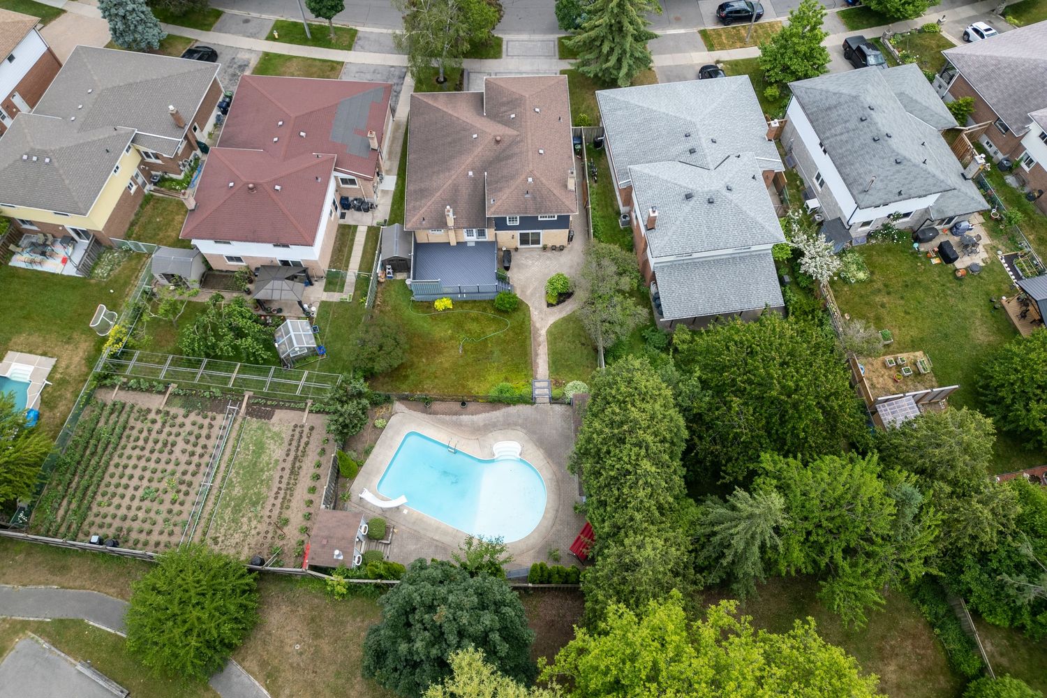 Aerial view of suburban backyard featuring a blue swimming pool, green lawn, garden beds, and surrounding neighborhood homes.