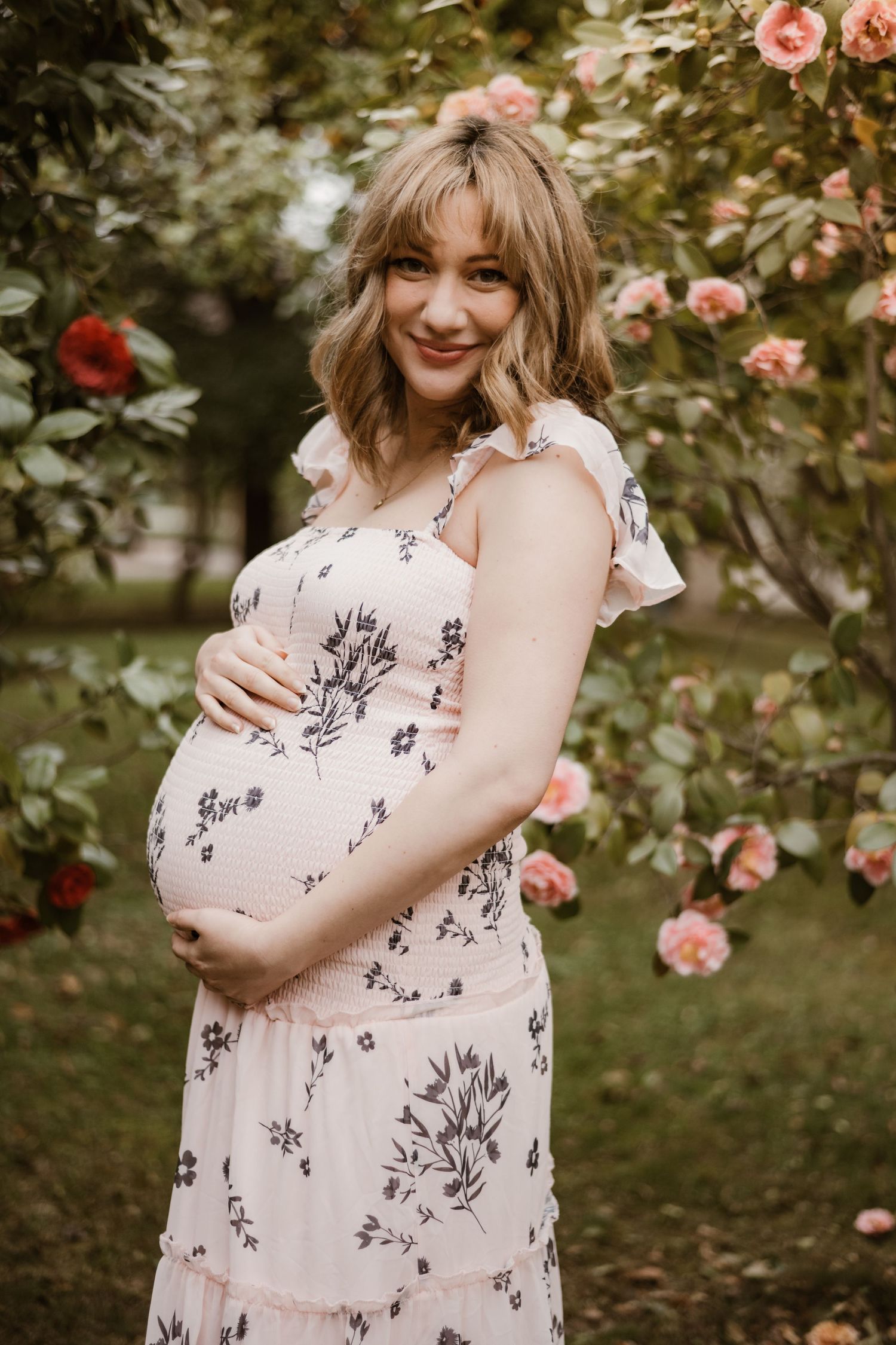 Maternity photo shoot in a garden with pink roses and soft natural lighting.