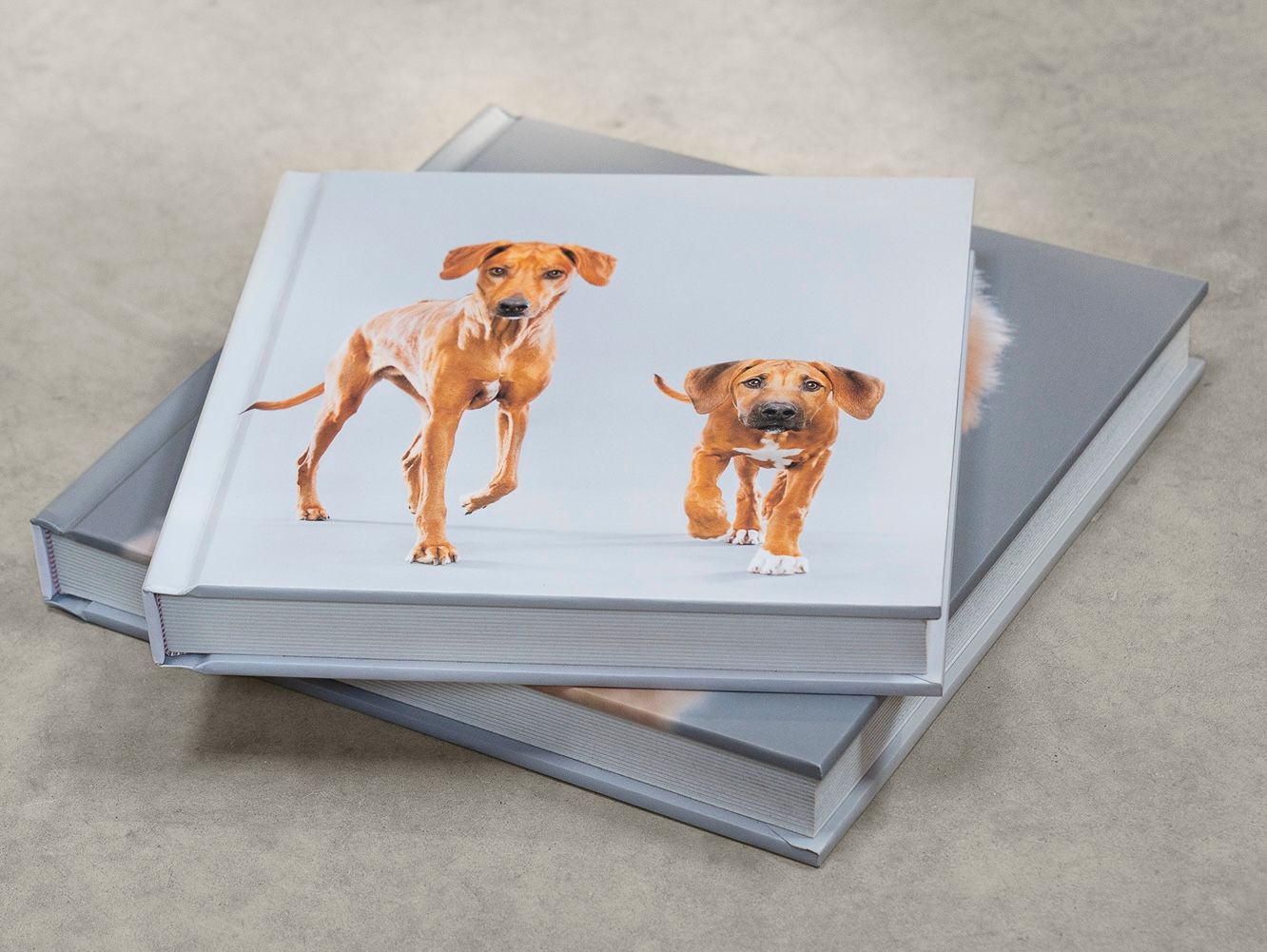 Professional pet photography high end album coffee table book