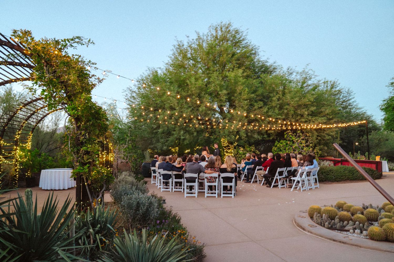 A wedding ceremony takes place in the Desert Botanical Garden's herb garden with green vines, trees, and desert cacti surrounding