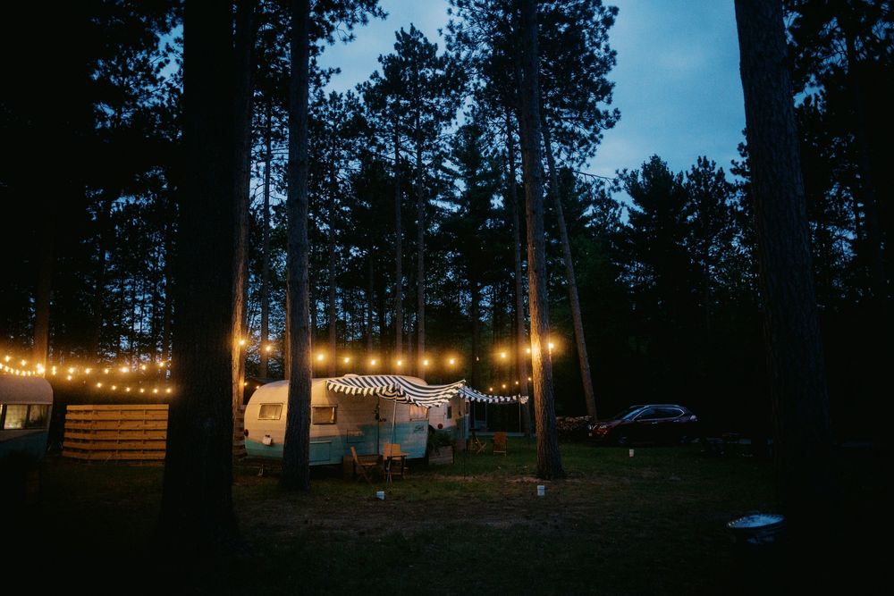 String lights illuminate a rustic outdoor gathering space surrounded by tall pine trees at dusk.