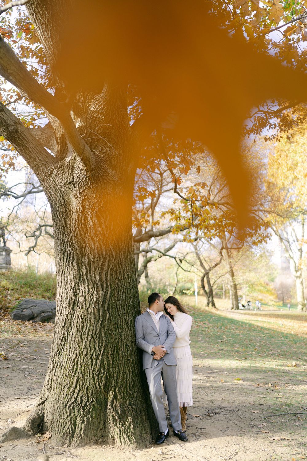 A romantic photo series under a large oak tree with warm autumn lighting filtering through branches.